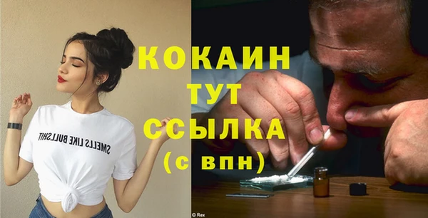 крисы Карпинск