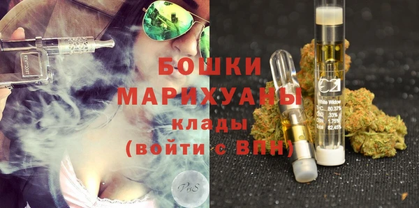 крисы Карпинск