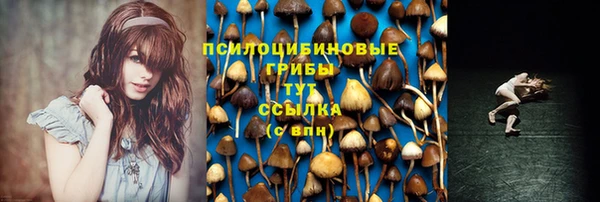 не бодяженный Касимов