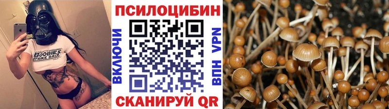 Псилоцибиновые грибы Magic Shrooms Сельцо